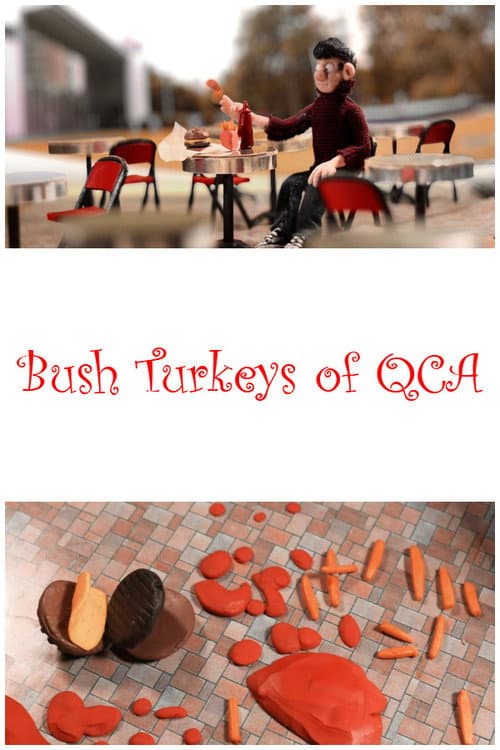 Постер до фільму «Bush Turkeys of QCA»
