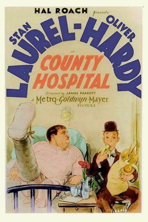 Poster for County Hospital