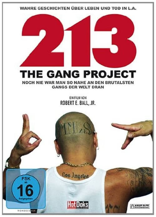 Poster for 213 - The Gang Project