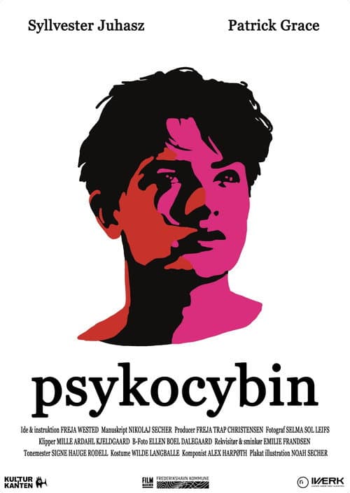 Poster for Psykocybin