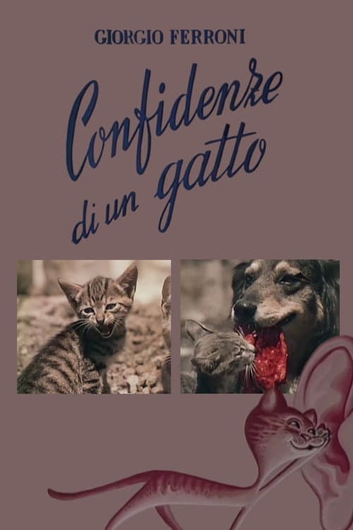 Poster for Confidenze di un gatto