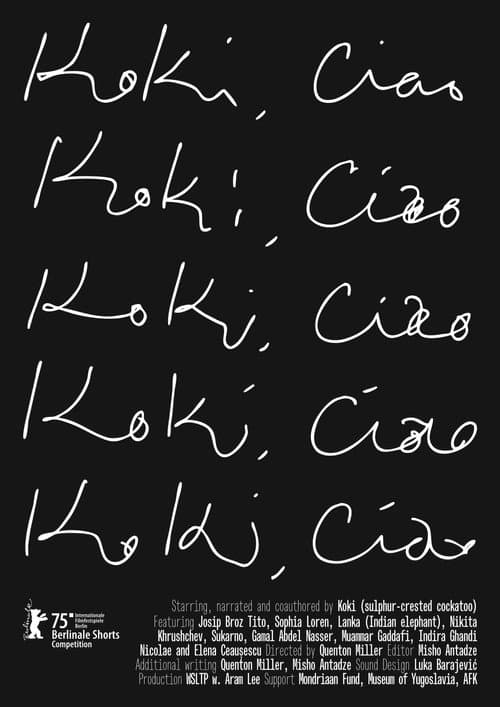 Poster for Koki, Ciao