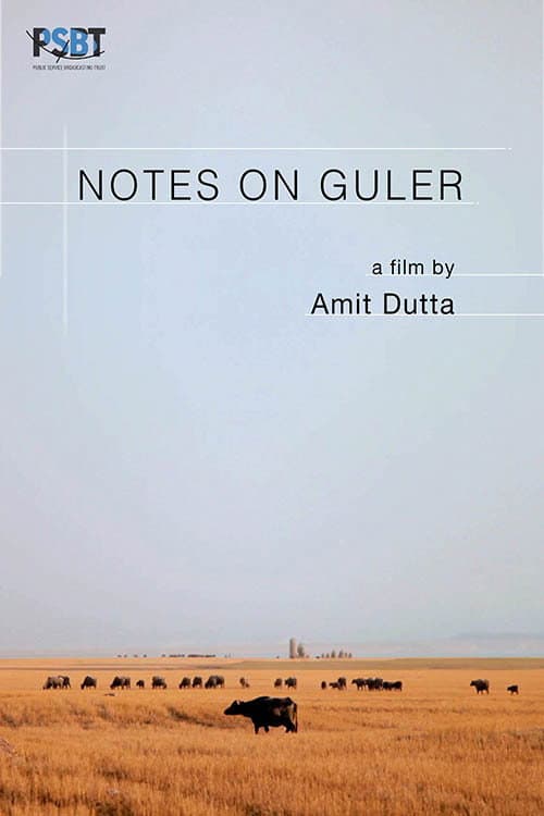 Poster for Notes on Guler