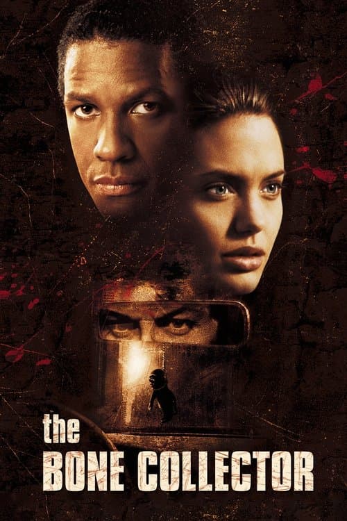 Poster for The Bone Collector