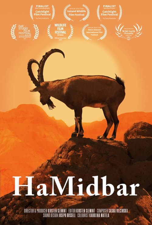 Poster for HaMidbar