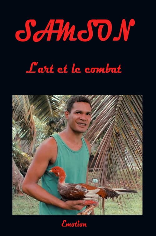 Poster for Samson art and combat