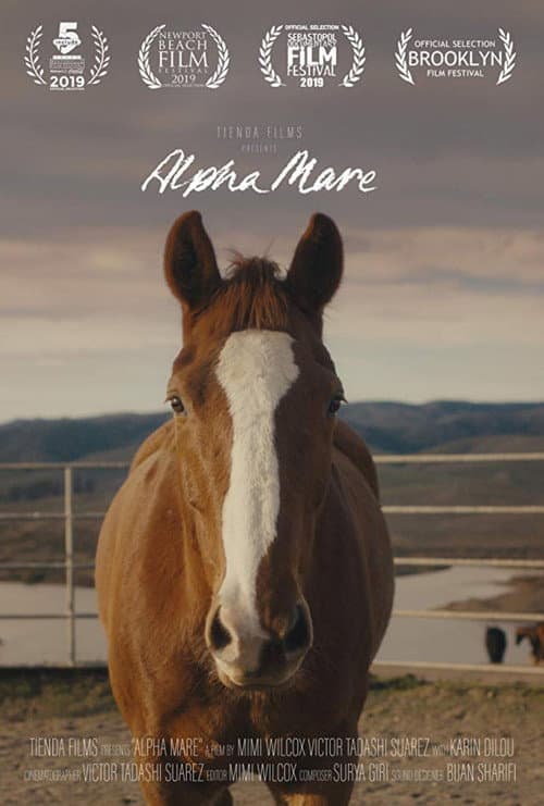 Poster for Alpha Mare