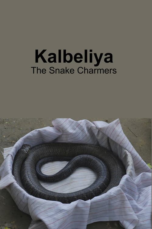 Poster for Kalbeliya - The Snake Charmers