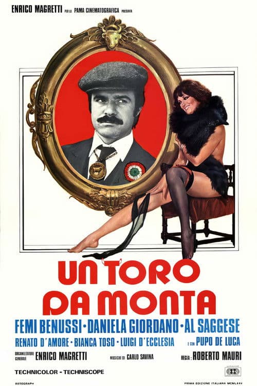 Poster for A Bull for Mounts