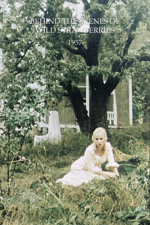 Poster for Behind the Scenes of Wild Strawberries
