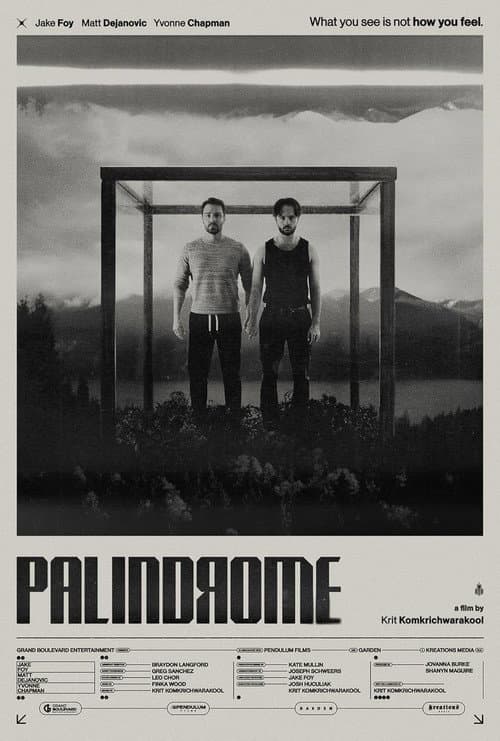 Poster for Palindrome