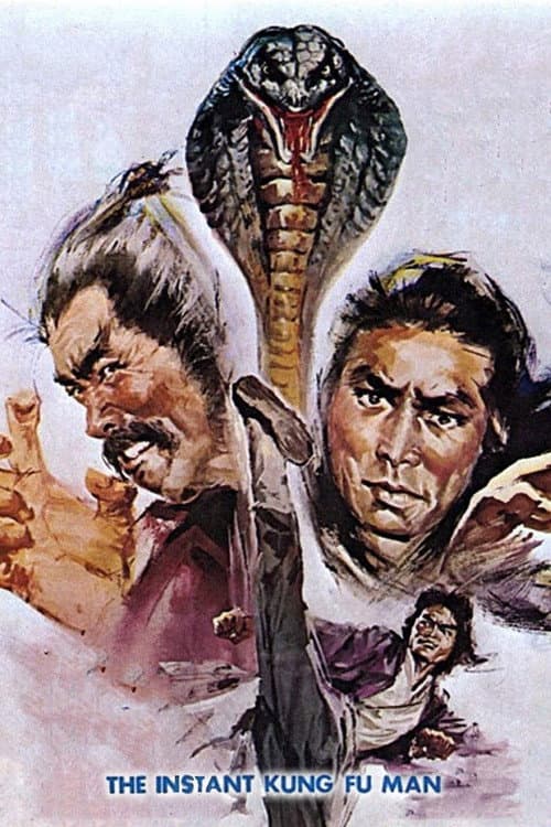 Poster for Instant Kung Fu Man