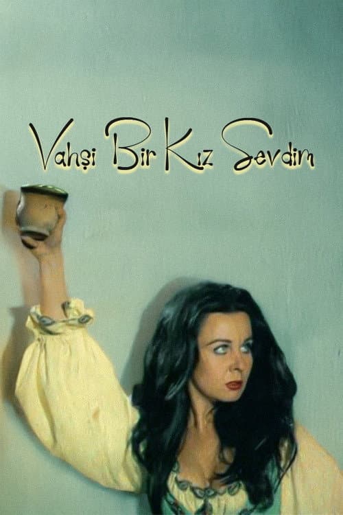 Poster for Vahşi Bir Kız Sevdim
