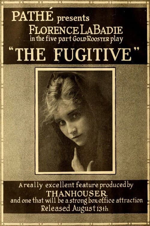 Poster for The Fugitive