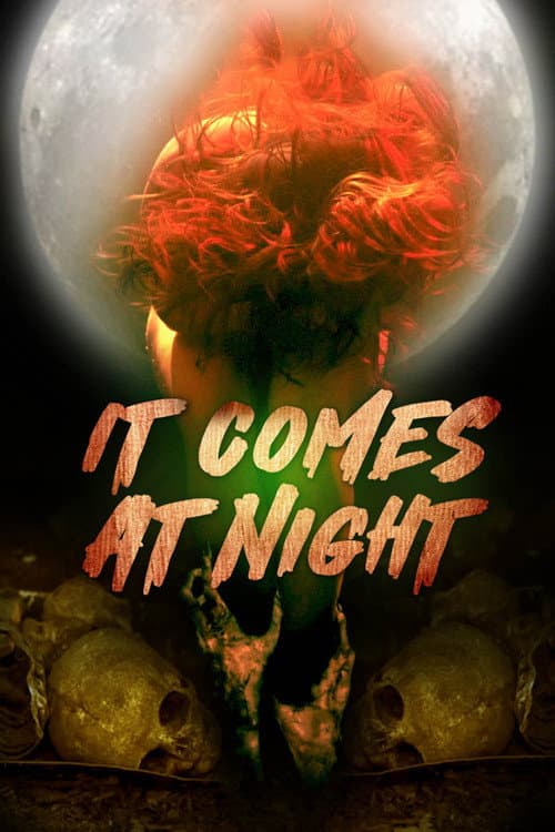 Poster for In the Light of the Night