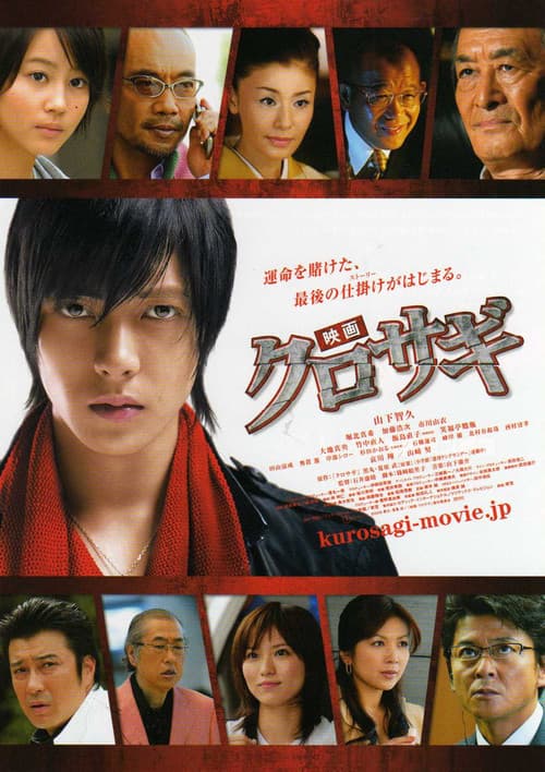 Poster for The Black Swindler