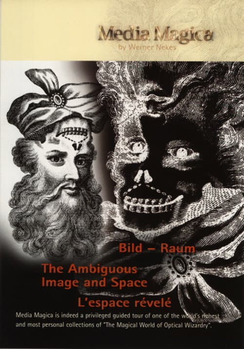 Poster for The Ambiguous Image and Space