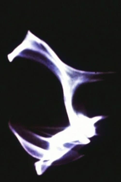 Poster for Light Reflections