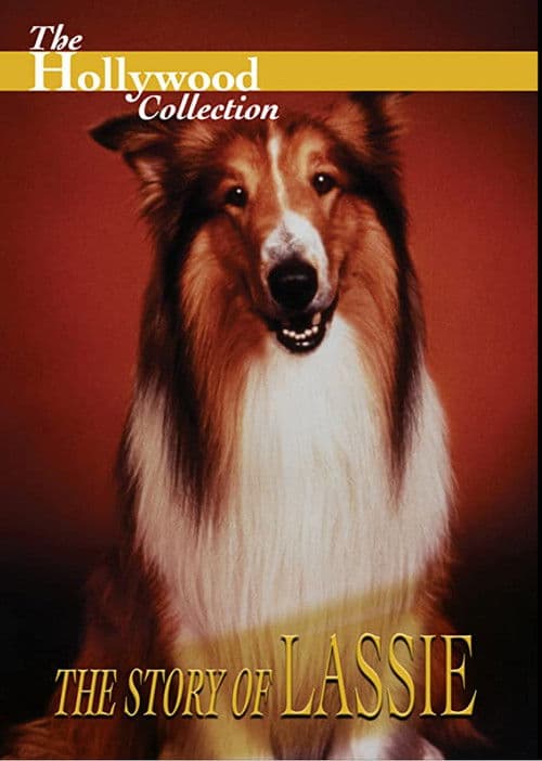 Poster for The Story of Lassie