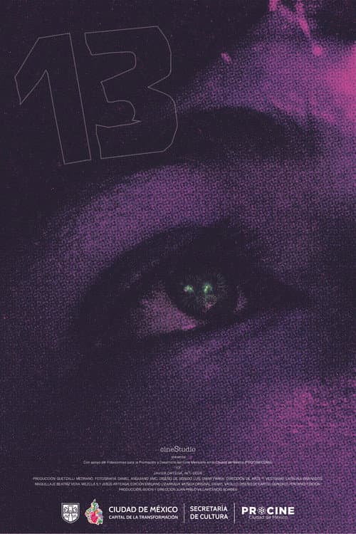 Poster for 13