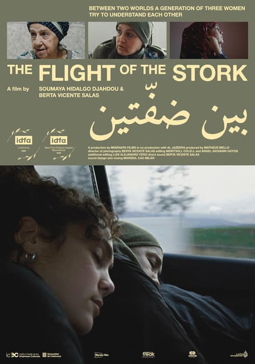 Poster for The Flight of the Stork