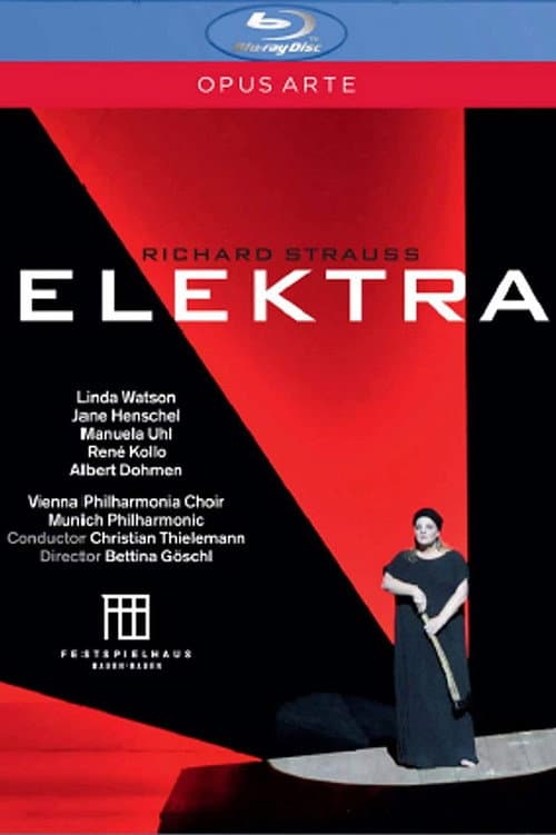 Poster for Elektra