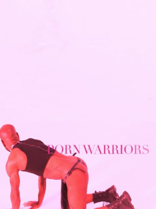 Poster for Porn Warriors