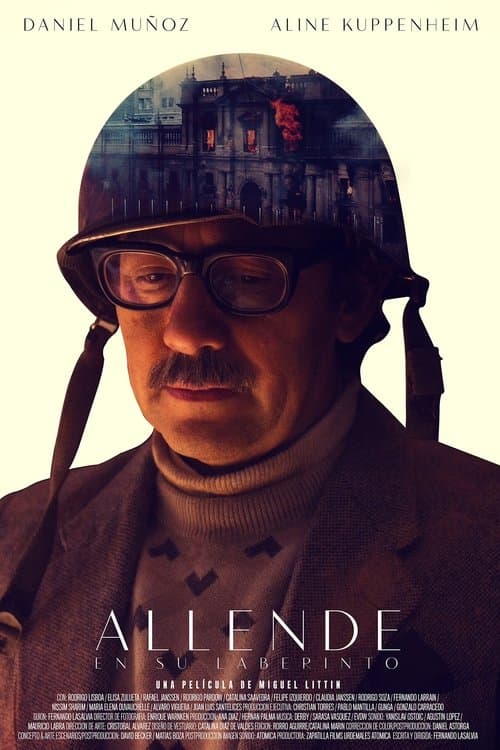 Poster for Allende in His Maze