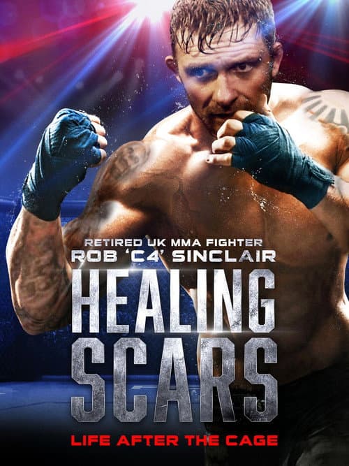 Poster for Healing Scars