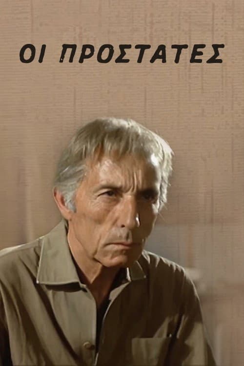 Poster for The Protectors