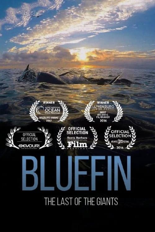 Poster for Bluefin