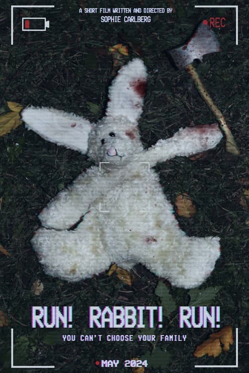 Poster for RUN! RABBIT! RUN!