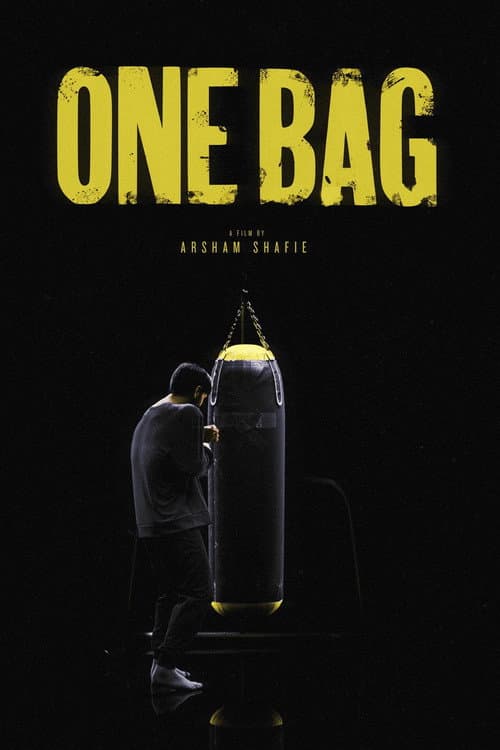 Poster for One Bag