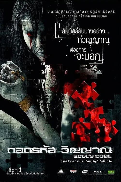 Poster for Soul's Code