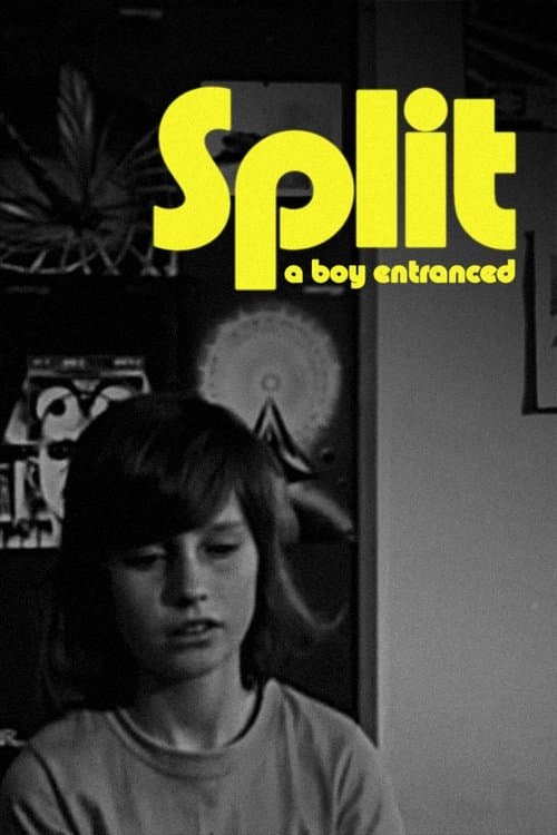 Poster for Split