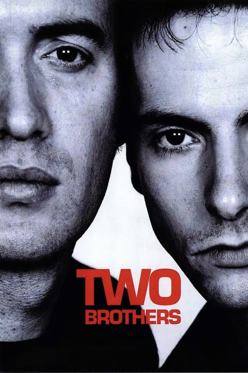 Poster for Two Brothers