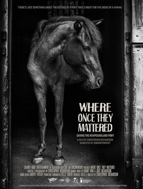 Poster for Where Once They Mattered