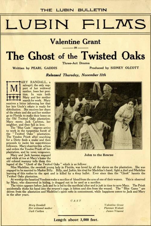 Poster for The Ghost of Twisted Oaks