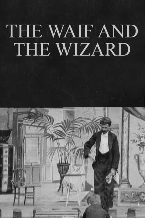 Poster for The Waif and the Wizard