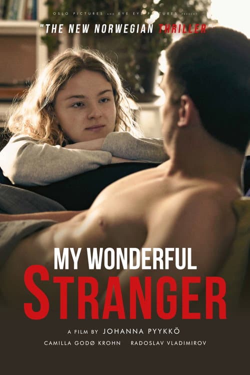 Poster for My Wonderful Stranger