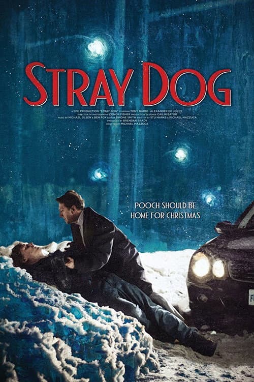 Постер до фільму «Stray Dog»