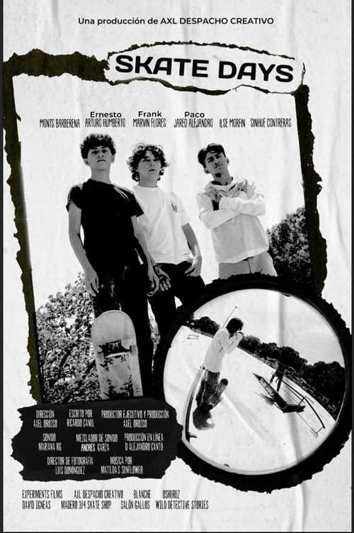 Poster for SKATE DAYS