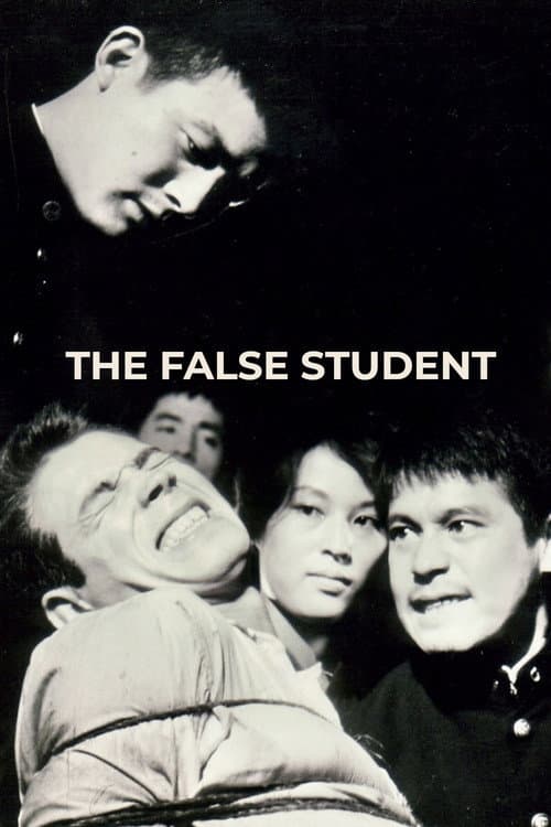Poster for The False Student