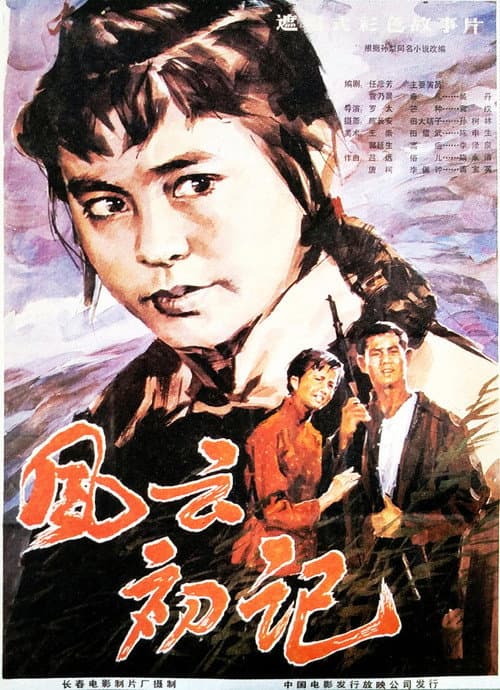 Poster for 风云初记