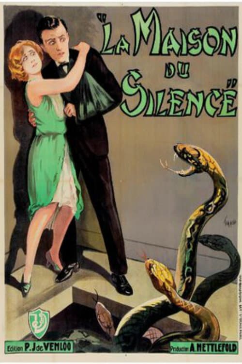 Poster for The Silent House
