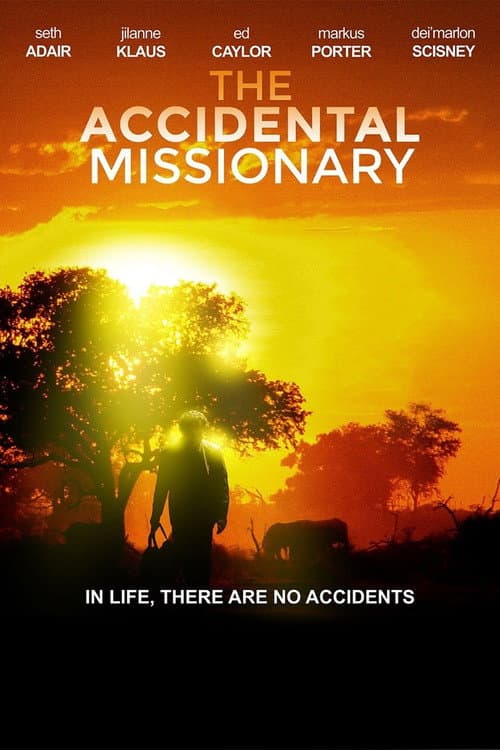 Poster for The Accidental Missionary