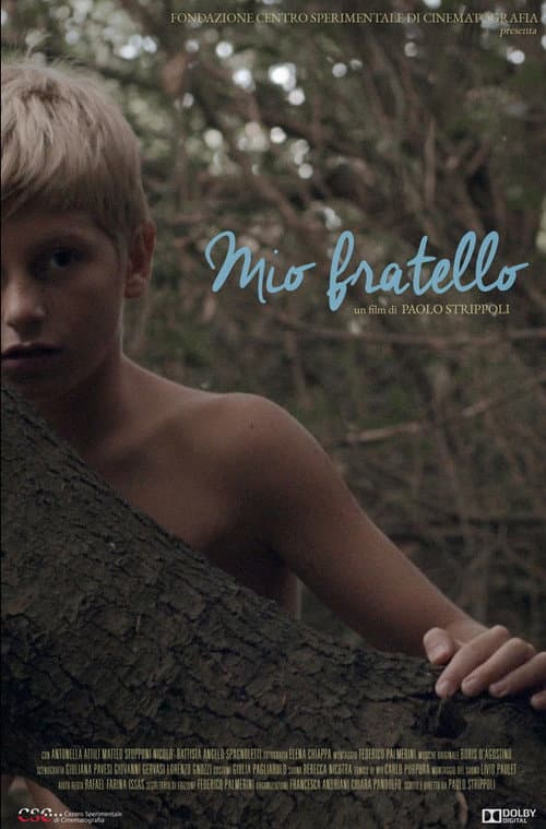 Poster for Mio Fratello
