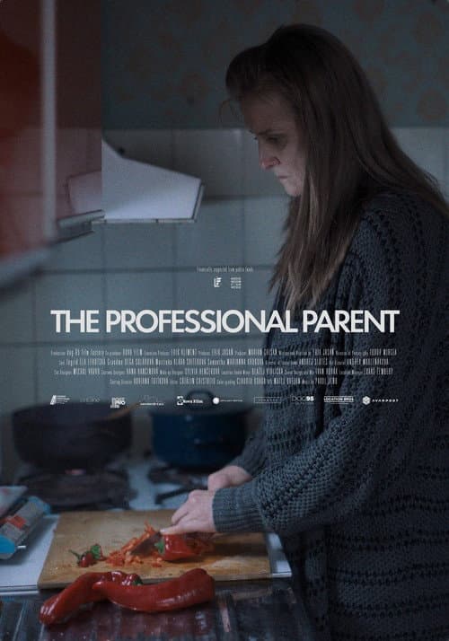 Poster for The Professional Parent