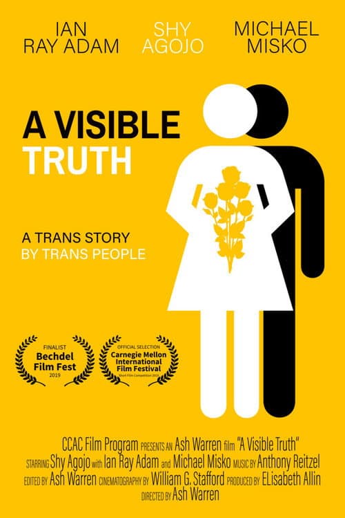 Poster for A Visible Truth