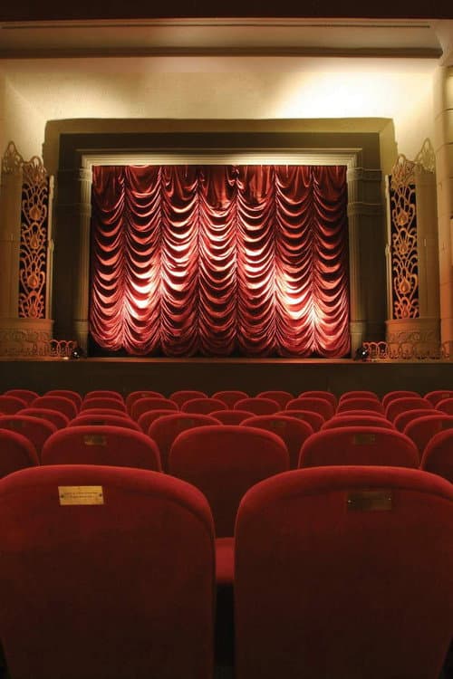 Poster for The Dream Palace: A People's History of Tyneside Cinema